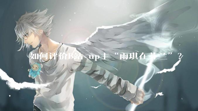 如何评价B站 up主“雨琪在芬兰”？