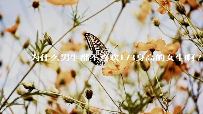为什么男生都不喜欢173身高的女生啊?